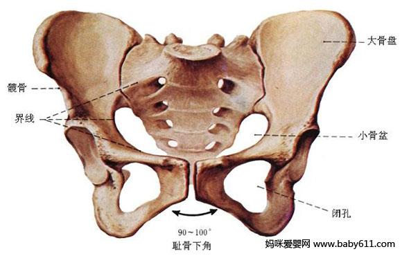 Q혮a(chn)4