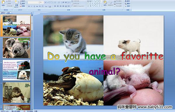 كӢZnDo you have a favoritte animal?