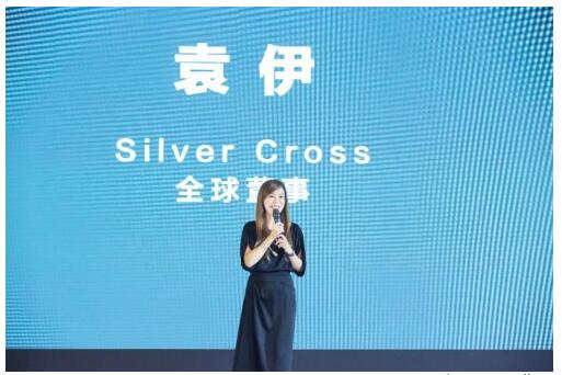 Silver Cross꟨Пo(w)ֹ